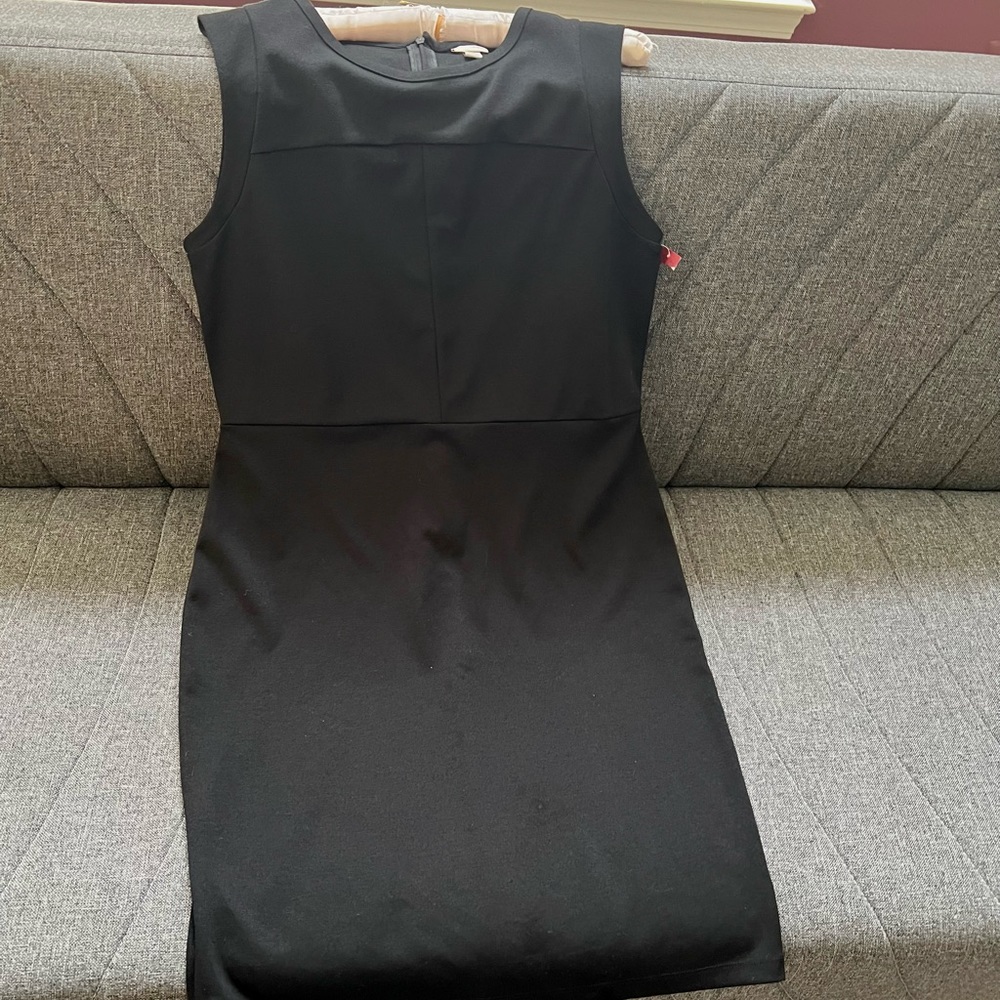NWT women’s dress